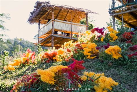 Lambingan Hills: The Newest Attraction in Tanay, Rizal.